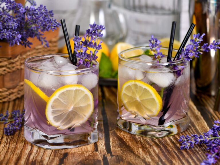 Alkoholfreier Gin Tonic