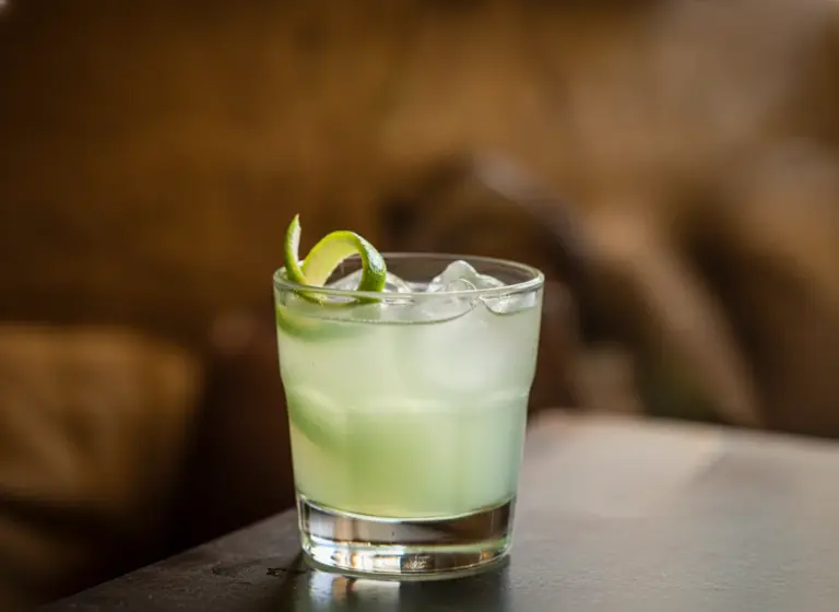 Alligator im Glas