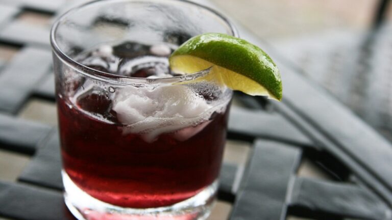 Blackberry-Likör-Cocktails - Was ist das ? — QuinnDombrowski / by-sa via Openverse