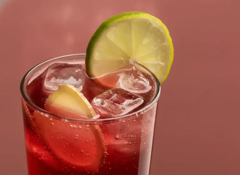 Cranberry-Ingwer-Mule im Glas
