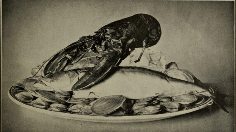 gekuehlte-glaeser-was-ist-das — Internet Archive Book Images / No restrictions / Wikimedia Commons