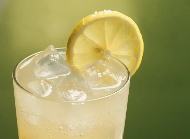 Gin Lemon im Glas