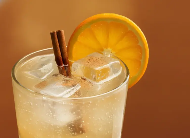 Gin & Tonic mit Zimt und Orange im Glas