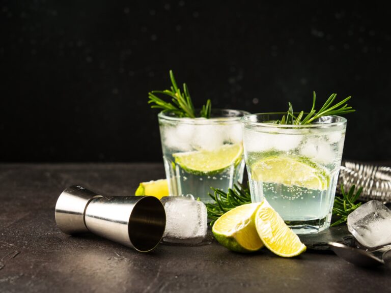 Gin Tonic Rosmarin