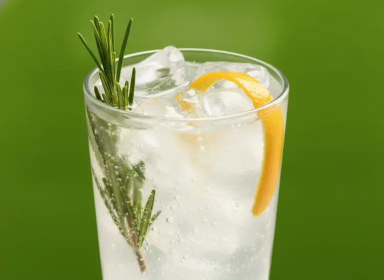 Gin Tonic Rosmarin im Glas