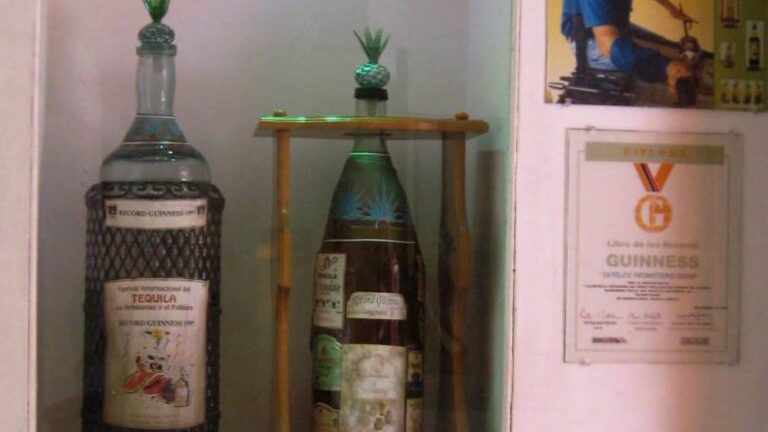 tequila-was-ist-das — Thelmadatter / Public domain / Wikimedia Commons